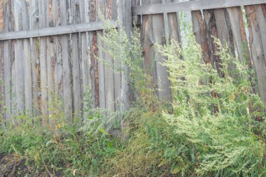 Farklı boyutlarda ahşap kurulların eski yıpranmış çit