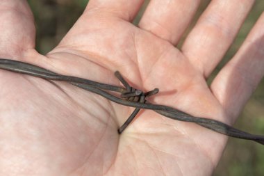 temiz elini paslı dikenli tel