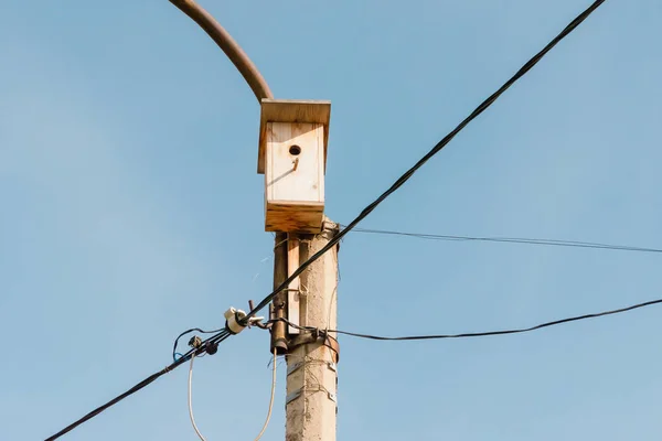 木製の巣箱と街灯 ランタンの電力線 青い空 — ストック写真