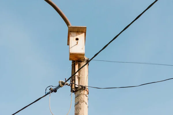 Lampadaire Avec Nichoir Bois Des Fils Pour Électricité Dans Lanterne — Photo