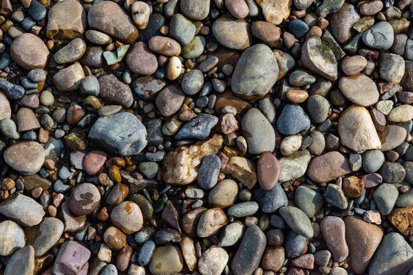 Doku Doğal Arka Plan Yakın Çekim Çakıl — Stok fotoğraf