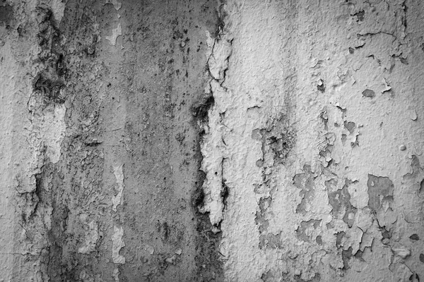 Белый Пилинг Краски Старой Грубой Поверхности Бетона Плесень Стене — стоковое фото