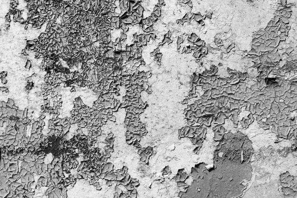 Graue Abblätternde Farbe Auf Der Alten Rauen Betonoberfläche Schwarz Weiß — Stockfoto