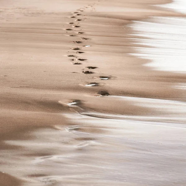 footprints in the sand from the feet of a lost person. no way out of the situation. return to the be