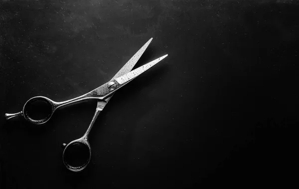 Professional Barber Scissors Hair Cutting Hairdresser Salon Concept Hairdressing Set — Stock Photo, Image