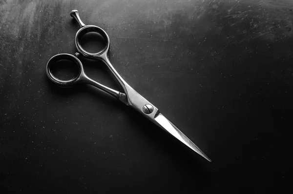 Scissors Cutting Hair Barber Professional Scissors — Stock Photo, Image