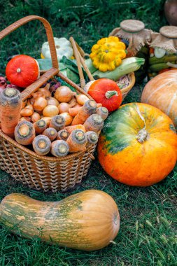 Farklı Taze Çiftlik Sebzeile Büyük Sepet. Hasat. Gıda veya Sağlıklı diyet kavramı. Vejetaryen.