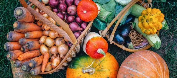 Gran cesta con diferentes verduras frescas de granja. Cosecha. Comida o concepto de dieta saludable. Vegetariano . — Foto de Stock