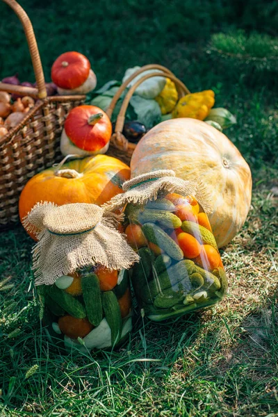 Verduras conservadas en frascos de vidrio — Foto de Stock