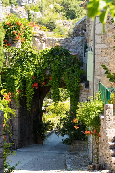 Arco Romántico Callejón Cubierto Plantas Pueblo Medieval Balazuc Der Ardeche —  Fotos de Stock