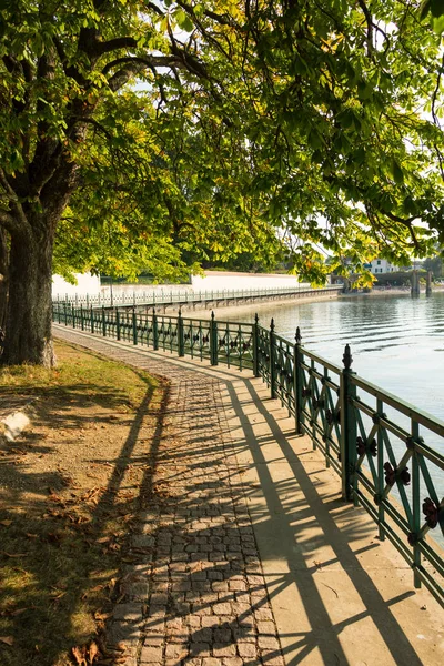 フリードリヒスハーフェンのボーデン湖で城公園で古い鉄の手すりと歩道 — ストック写真
