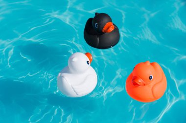 Üç renkli lastik ördek, beyaz, turuncu ve siyah, bir çocuk havuzu suda Yüzme