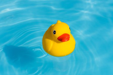 Bir tek sarı lastik ördek bir kürek çekmeye havuzda yüzen