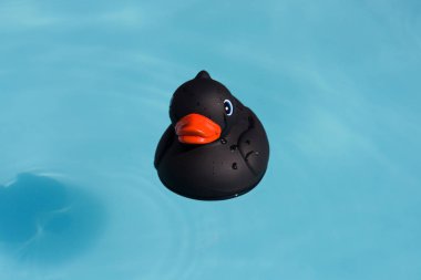 Bir tek siyah lastik ördek bir kürek çekmeye havuzda yüzen