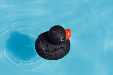 Bir tek siyah lastik ördek bir kürek çekmeye havuzda yüzen