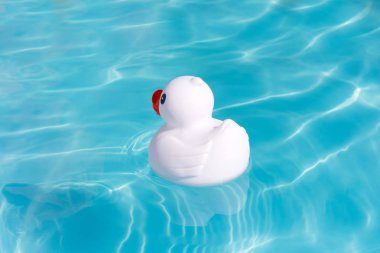 Çocuk havuzu içinde yalnız bir tek beyaz lastik ördek