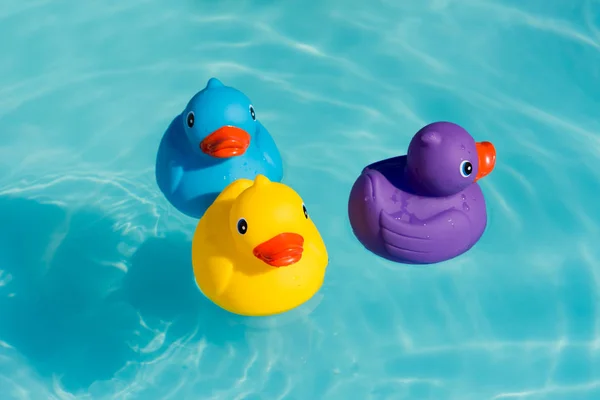 Tre Anatre Gomma Colorate Gialle Blu Viola Che Nuotano Acqua — Foto Stock