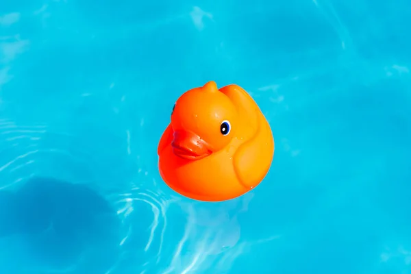 Único Pato Borracha Laranja Flutua Uma Piscina Remo — Fotografia de Stock