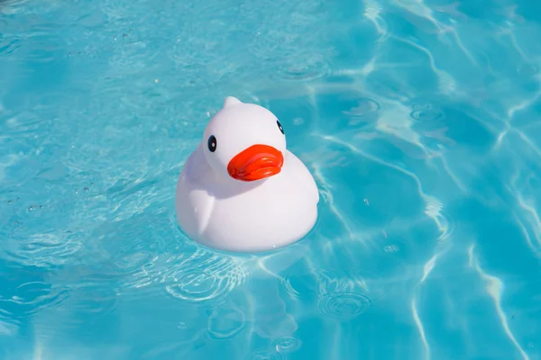 Una Sola Anatra Gomma Bianca Sola Nella Piscina Bambini — Foto Stock