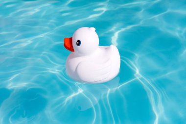 Çocuk havuzu içinde yalnız bir tek beyaz lastik ördek