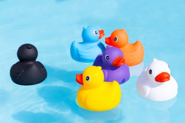 Altı renkli lastik ördek, ördek, sarı, mavi, mor, siyah, beyaz ve turuncu, yüzme bir çocuk havuzu suda bir ailenin