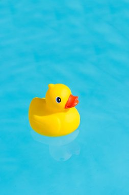 Bir tek sarı lastik ördek bir kürek çekmeye havuzda yüzen