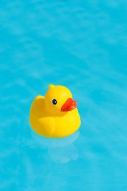 Bir tek sarı lastik ördek bir kürek çekmeye havuzda yüzen