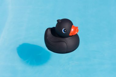 Bir tek siyah lastik ördek bir kürek çekmeye havuzda yüzen