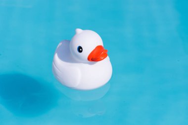 Çocuk havuzu içinde yalnız bir tek beyaz lastik ördek