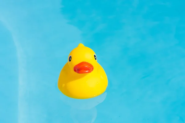 Una Singola Anatra Gomma Gialla Galleggia Una Piscina Bambini — Foto Stock