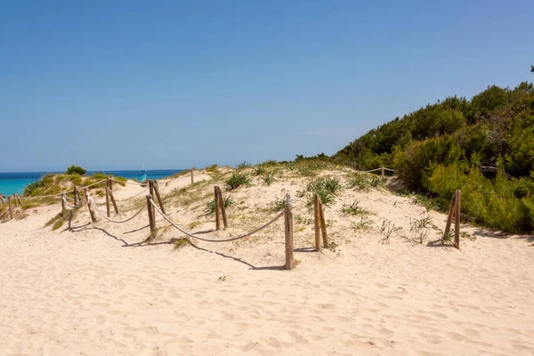 Piasek Ścieżki Przez Chronione Wydmy Plaży Cala Agulla Hiszpański Wakacje — Zdjęcie stockowe