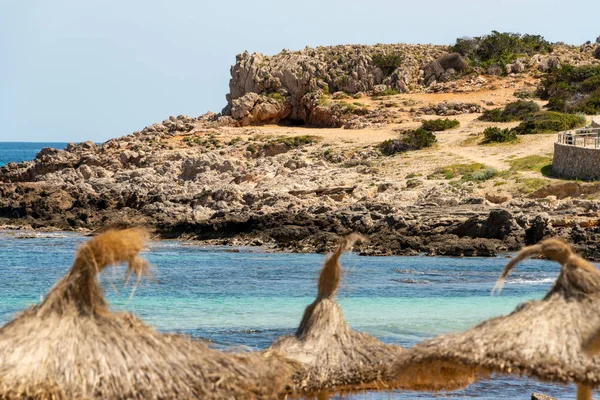 Uitzicht Stro Parasols Van Het Strand Cala Agulla Aan Rotsachtige — Stockfoto