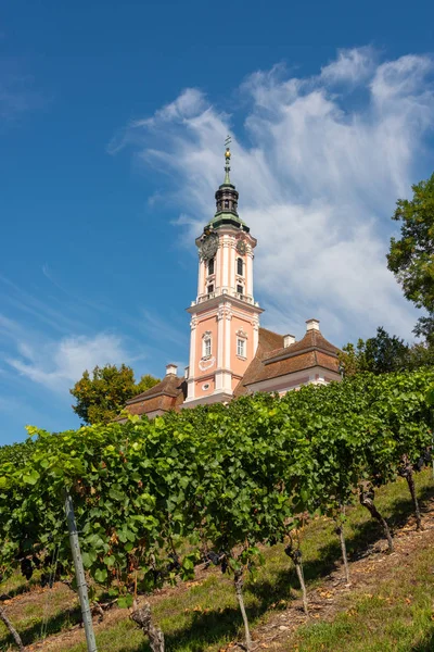 Prachtig Uitzicht Bedevaartskerk Birnau Het Bodenmeer Met Wijnstokken Voorgrond — Stockfoto