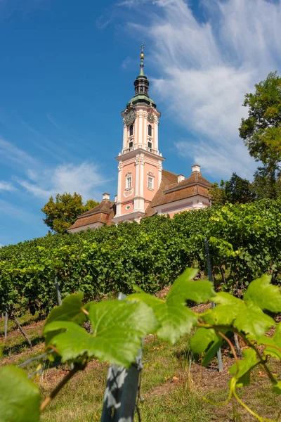 Prachtig uitzicht op de bedevaartskerk in Birnau op het Bodenmeer met de wijnstokken op de voorgrond — Stockfoto