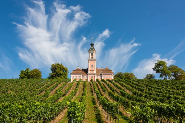 Piękny widok kościoła pielgrzymkowego w Birnau na jeziorze Bodeńskim winorośli na pierwszym planie, z spektakularne niebo i chmury — Zdjęcie stockowe