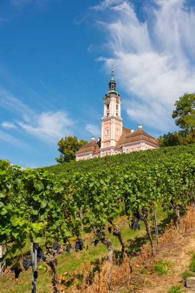 Prachtig uitzicht op de bedevaartskerk in Birnau op het Bodenmeer met de wijnstokken op de voorgrond — Stockfoto