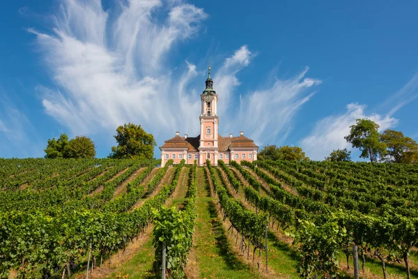 Schöne Aussicht auf die Wallfahrtskirche in Birnau am Bodensee mit den Reben im Vordergrund mit spektakulärem Himmel und Wolken — Stockfoto
