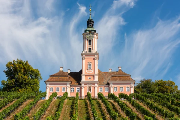 Schöne Aussicht auf die Wallfahrtskirche in Birnau am Bodensee mit den Reben im Vordergrund mit spektakulärem Himmel und Wolken — Stockfoto