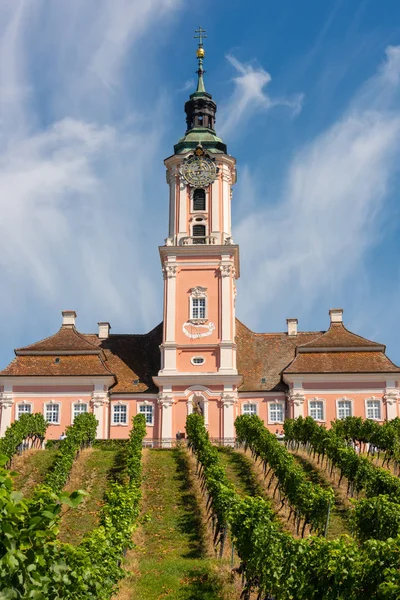 Wspaniały widok kościoła pielgrzymkowego w Birnau na jeziorze Bodeńskim winorośli na pierwszym planie — Zdjęcie stockowe