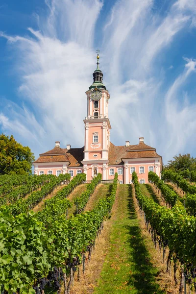 Piękny widok kościoła pielgrzymkowego w Birnau na jeziorze Bodeńskim winorośli na pierwszym planie, z spektakularne niebo i chmury — Zdjęcie stockowe