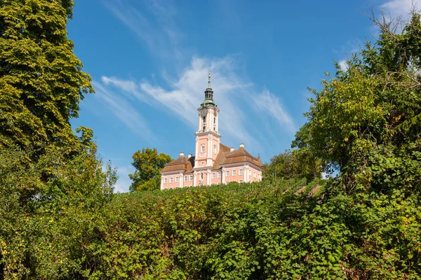 Prachtige Landschap Met Wijngaarden Bomen Met Uitzicht Bedevaartskerk Birnau Aan — Stockfoto