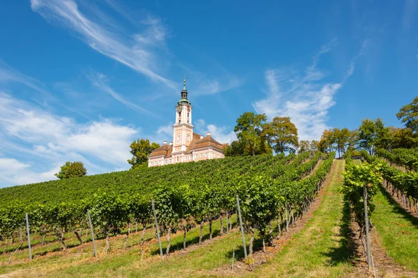 Vacker utsikt över pilgrimsfärdkyrkan i Birnau vid Bodensjön med vinrankorna i förgrunden med en spektakulär himmel och moln — Stockfoto