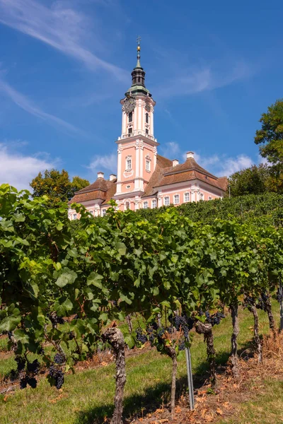 Piękny widok kościoła pielgrzymkowego w Birnau na jeziorze Bodeńskim winorośli na pierwszym planie — Zdjęcie stockowe