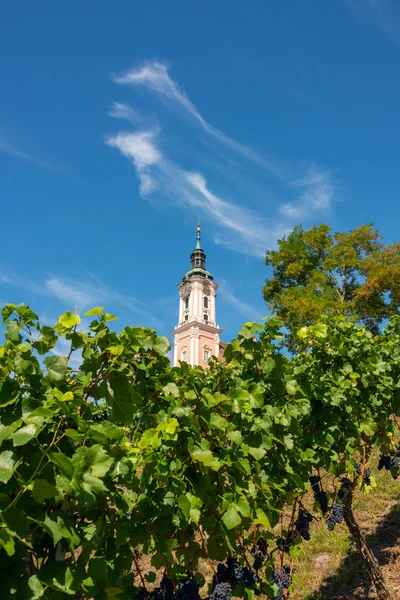 Beautiful view of the pilgrimage church in Birnau at Lake Constance with the vines in the foreground — Stock Photo, Image