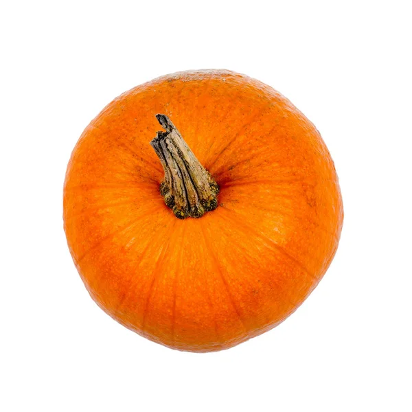 Een Enkele Halloween Pompoen Geïsoleerd Witte Achtergrond — Stockfoto