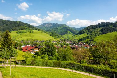 Kara Orman'daki küçük muenstertal köyü
