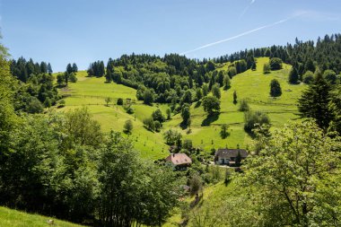Muenstertal 'da tepeler ve çayırlar olan manzara