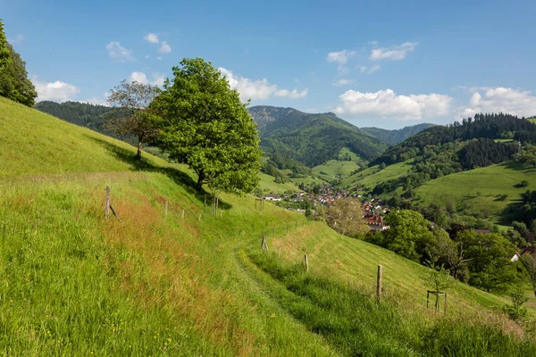 Prachtig Landschap Beeld Van Kleine Klimatologische Badplaats Dorp Muenstertal Het — Stockfoto