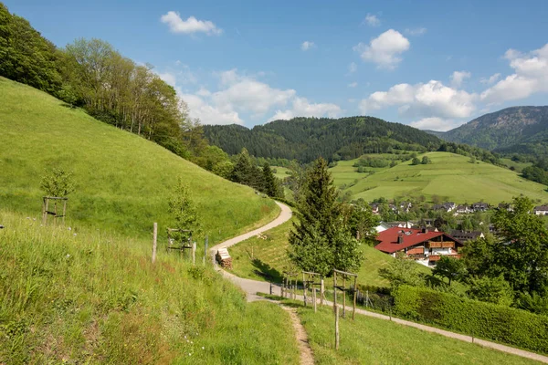 Krajobraz ze wzgórzami i łąkami w Muenstertal — Zdjęcie stockowe