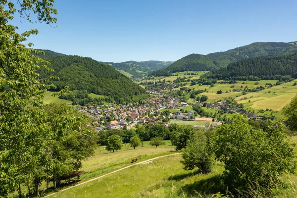 Het kleine dorpje Muenstertal in het Zwarte Woud — Stockfoto